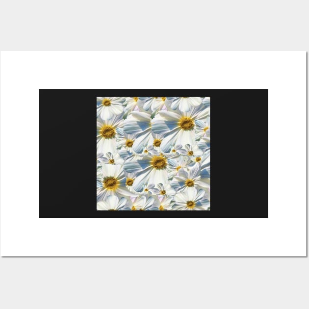 marguerites, daisy Wall Art by Hujer